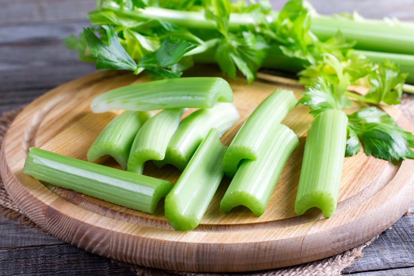 Can Dogs Eat Celery? The Benefits of Celery for Dogs