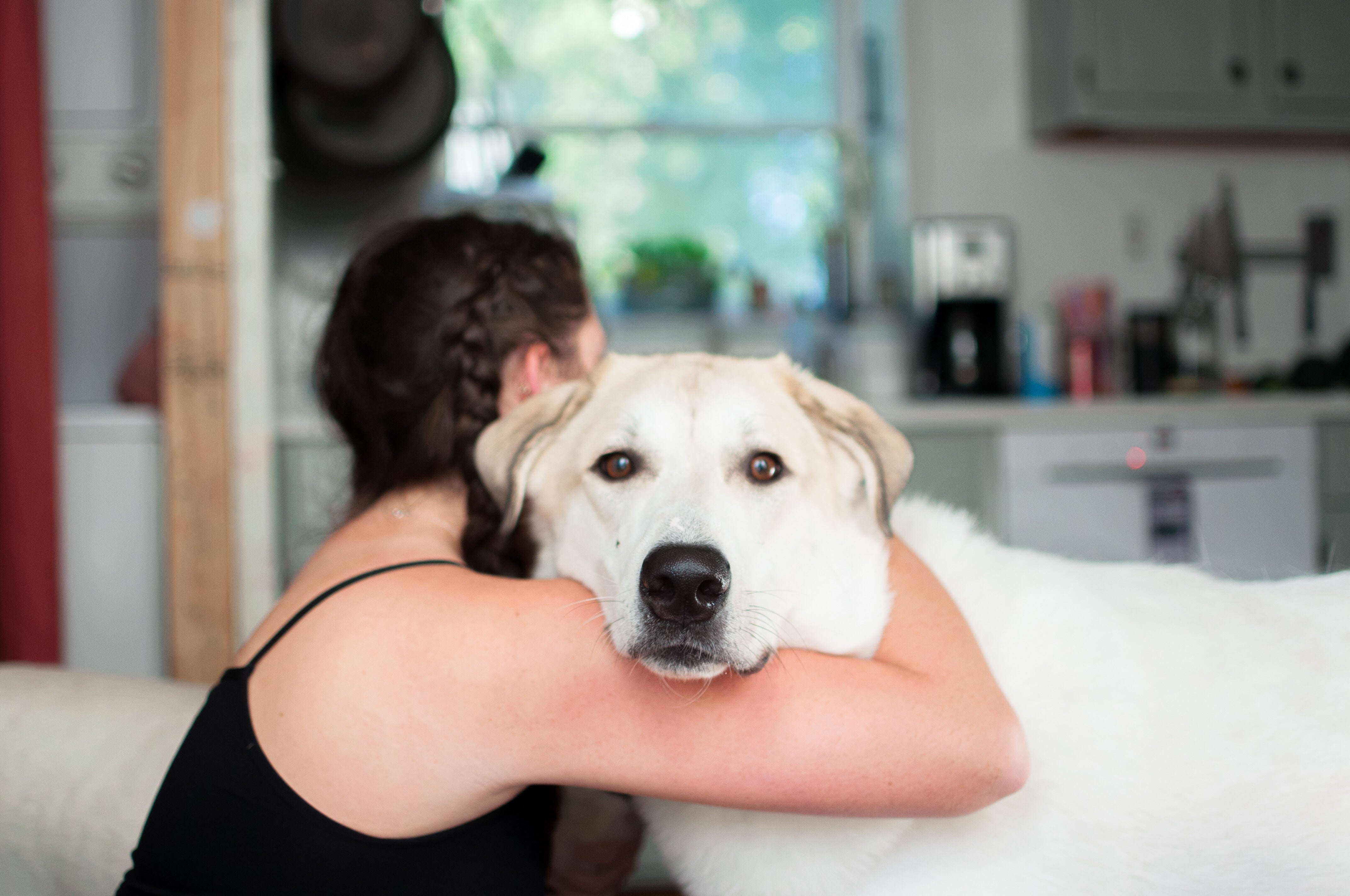 How to Care for Your Dog's Sensitive Stomach
