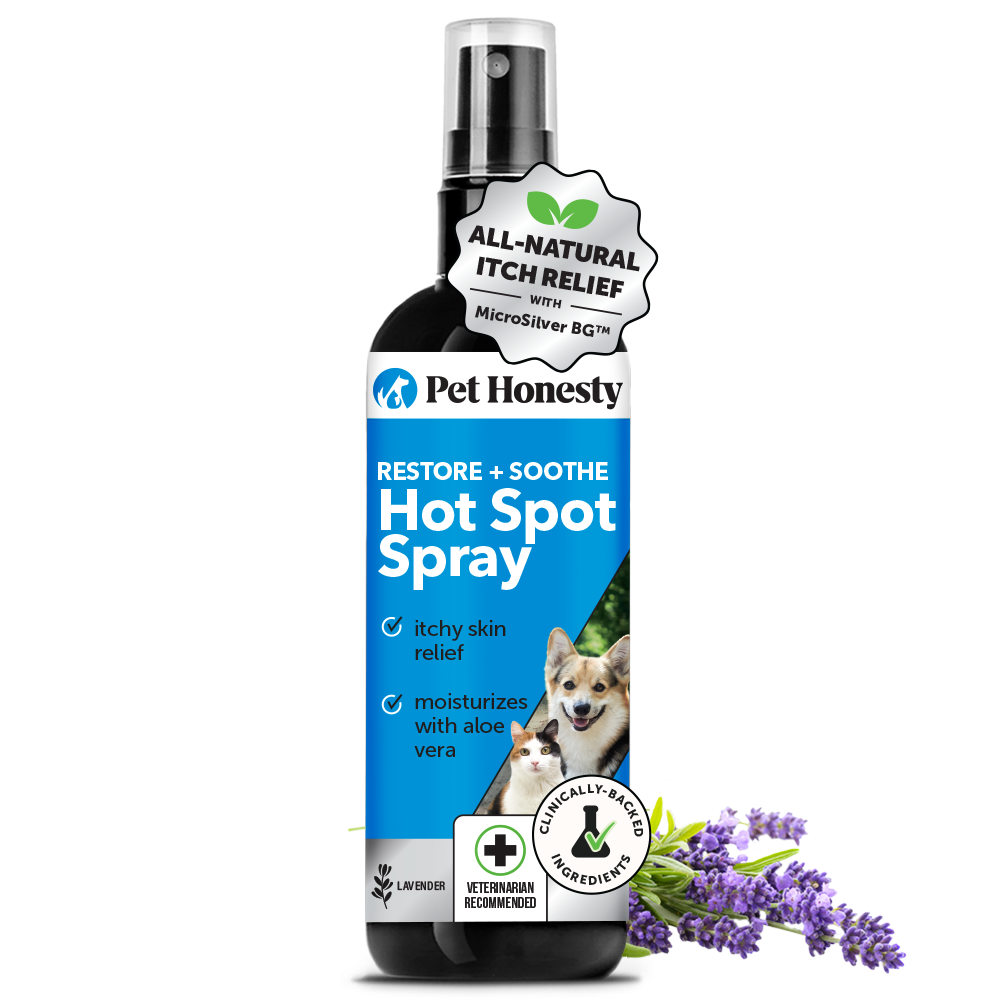 Restore Soothe Spray (4 Ounce) – Pet Honesty