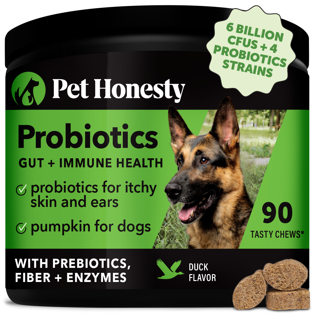 Pethonesty probiotics for dogs discount