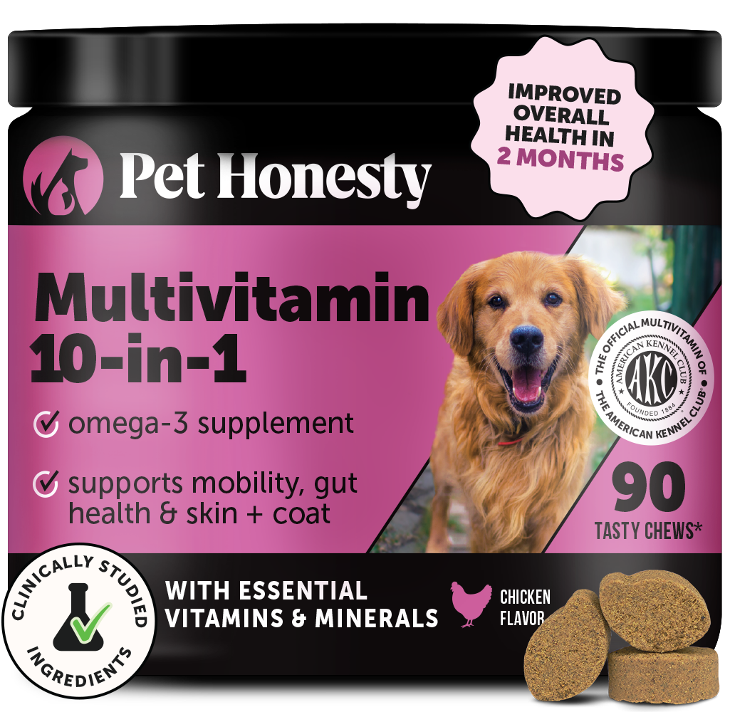 All-Natural Multivitamin Chew Supplement for Dogs Pet Honesty