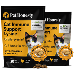 Dual Texture Immune Support Lysine for Cats 2-Pack (Chicken Flavor)