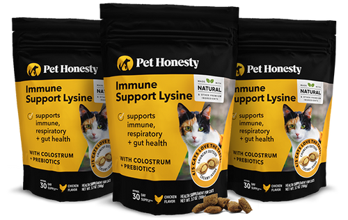 Dual Texture Immune Support Lysine for Cats 3-Pack (Chicken Flavor)