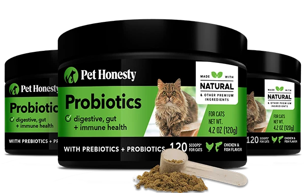 Digestive Probiotics For Cats 3 Pack PetHonesty PetHonesty