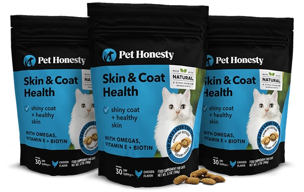 Cat sales shiny coat