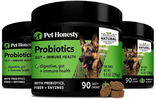 Pethonesty probiotics for dogs on sale