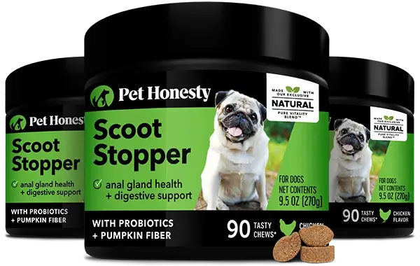 No scoot dog sales treats
