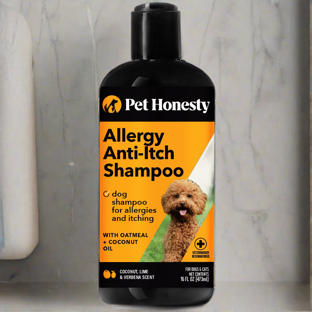 Shampoo top for allergies