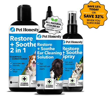 Dog grooming hot sale essentials