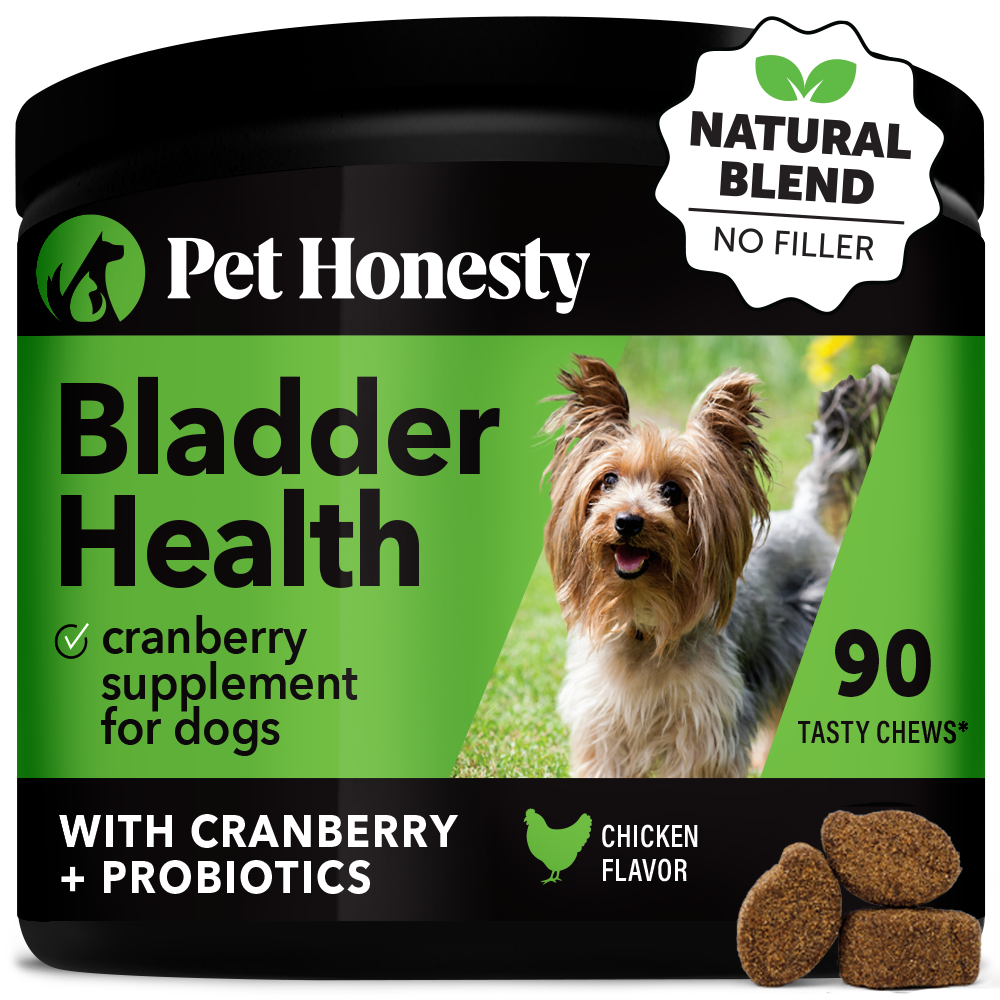 Best Cranberry Chews for Dogs: Top Picks for Health & Happiness