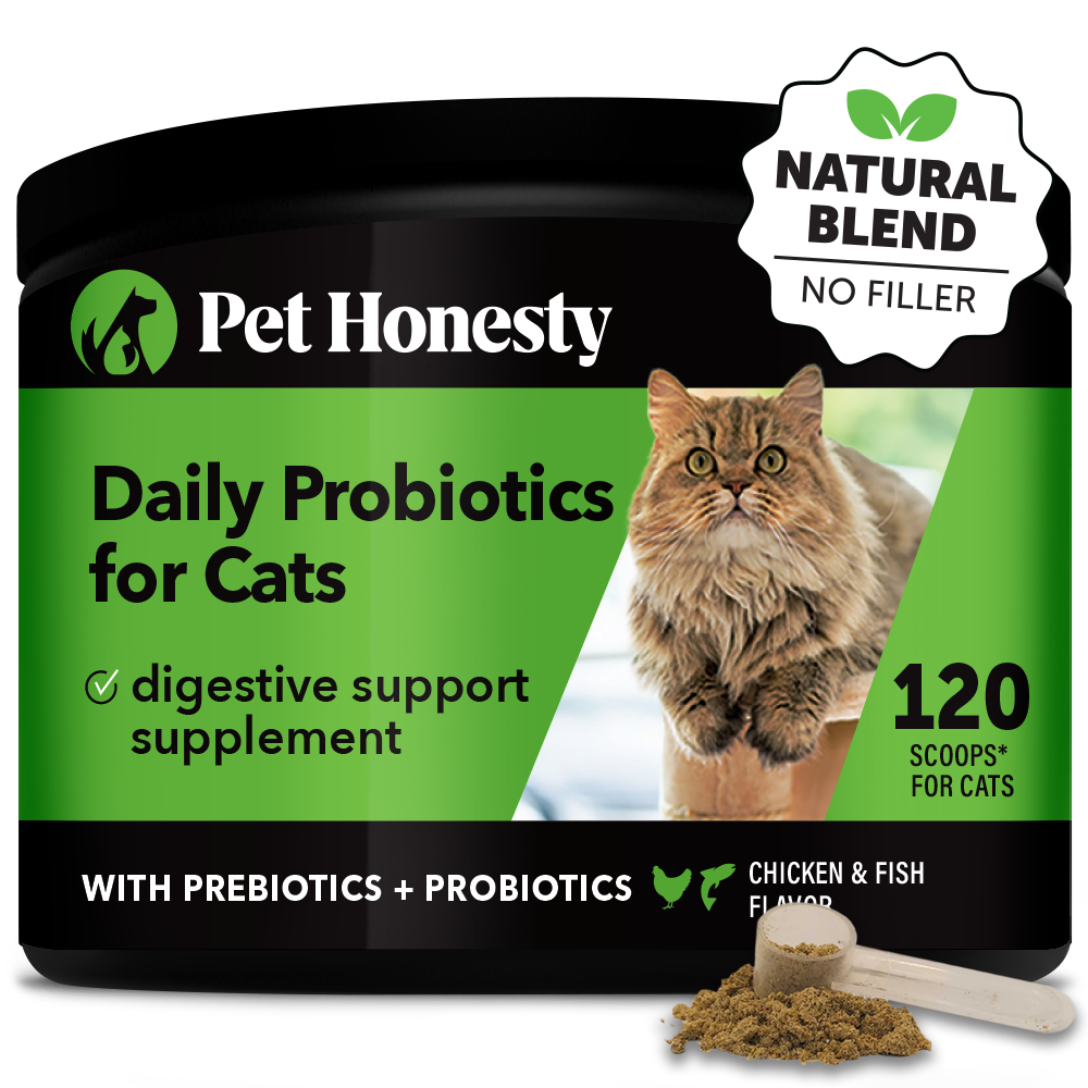 Pre and deals probiotics for cats