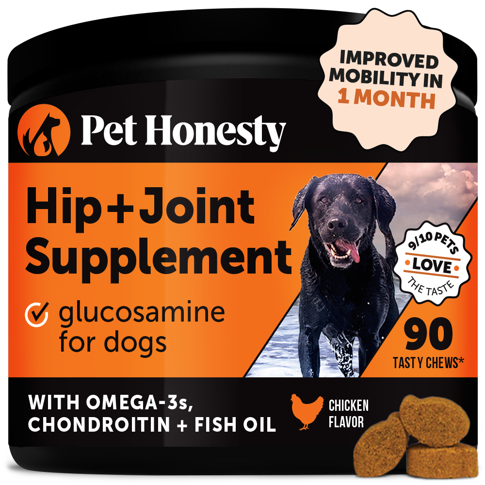 Glucosamine for dogs pets at home clearance