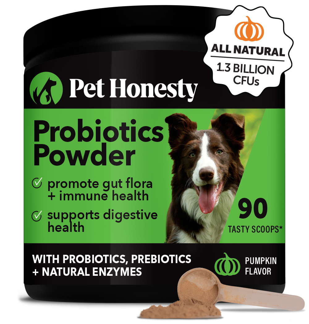 Natural enzymes for dogs sale