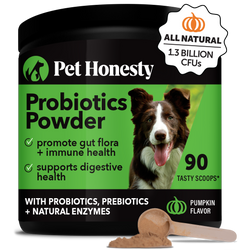 Probiotics Powder (90 Scoops)
