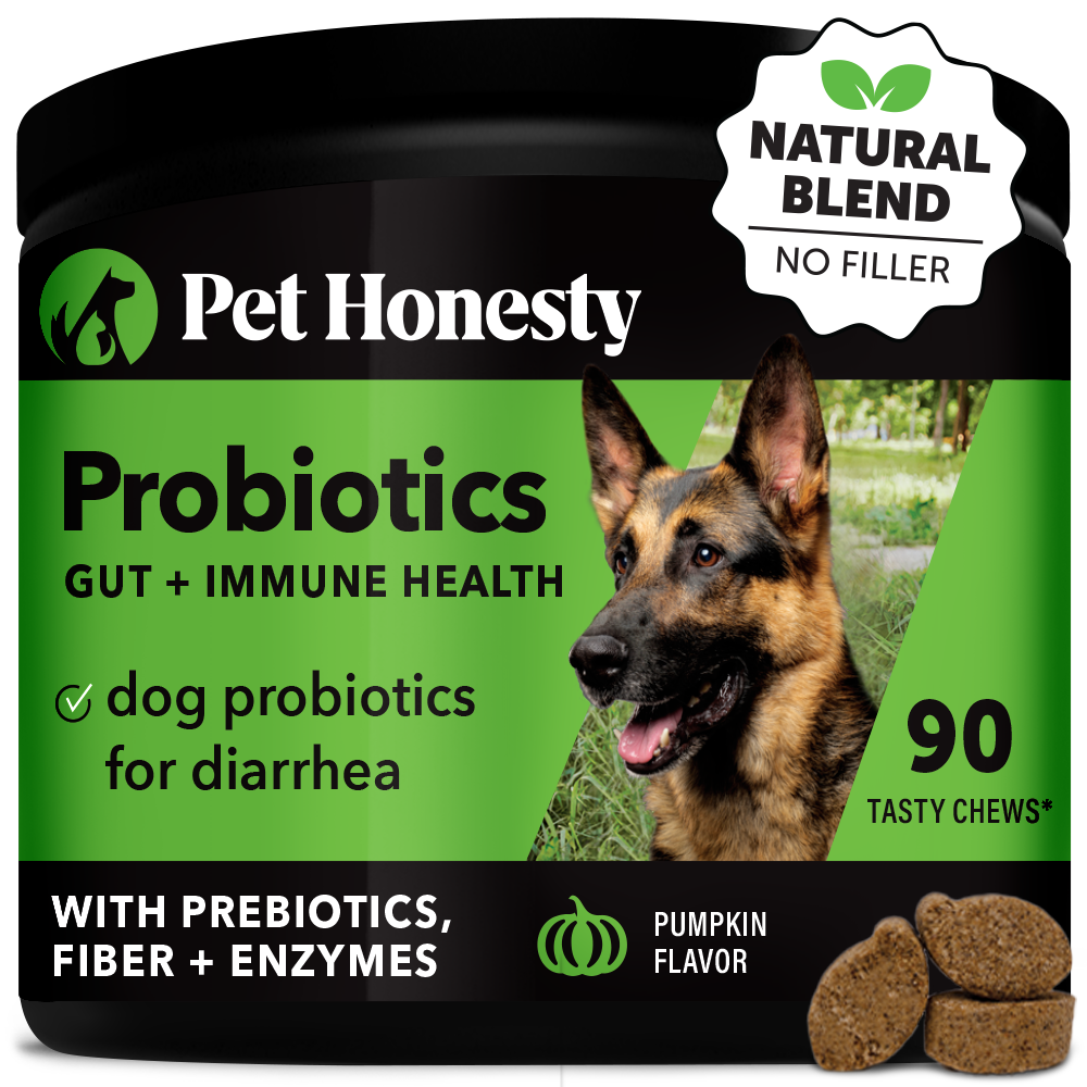 Good guts probiotics for dogs online