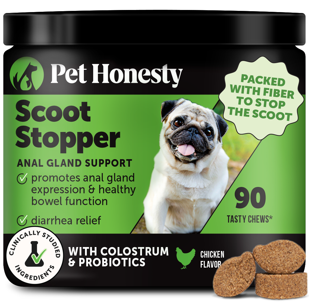 ドッグフード chanpon Scoot Stopper Chews for Dogs | Pet Honesty