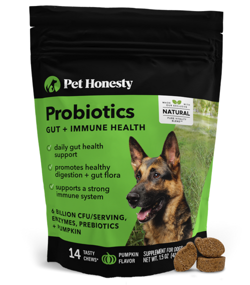 Digestive Probiotics Sample Pack Pumpkin 14ct Retail Discount