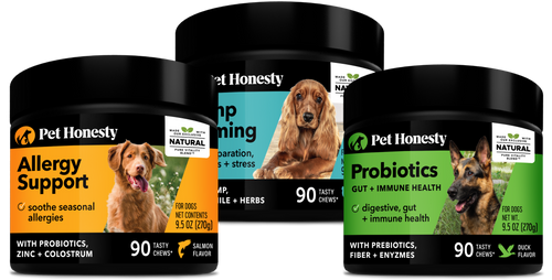 Travel Essentials Dog Bundle 3-Pack