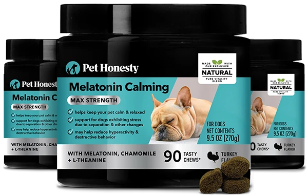Melatonin dog deals treats