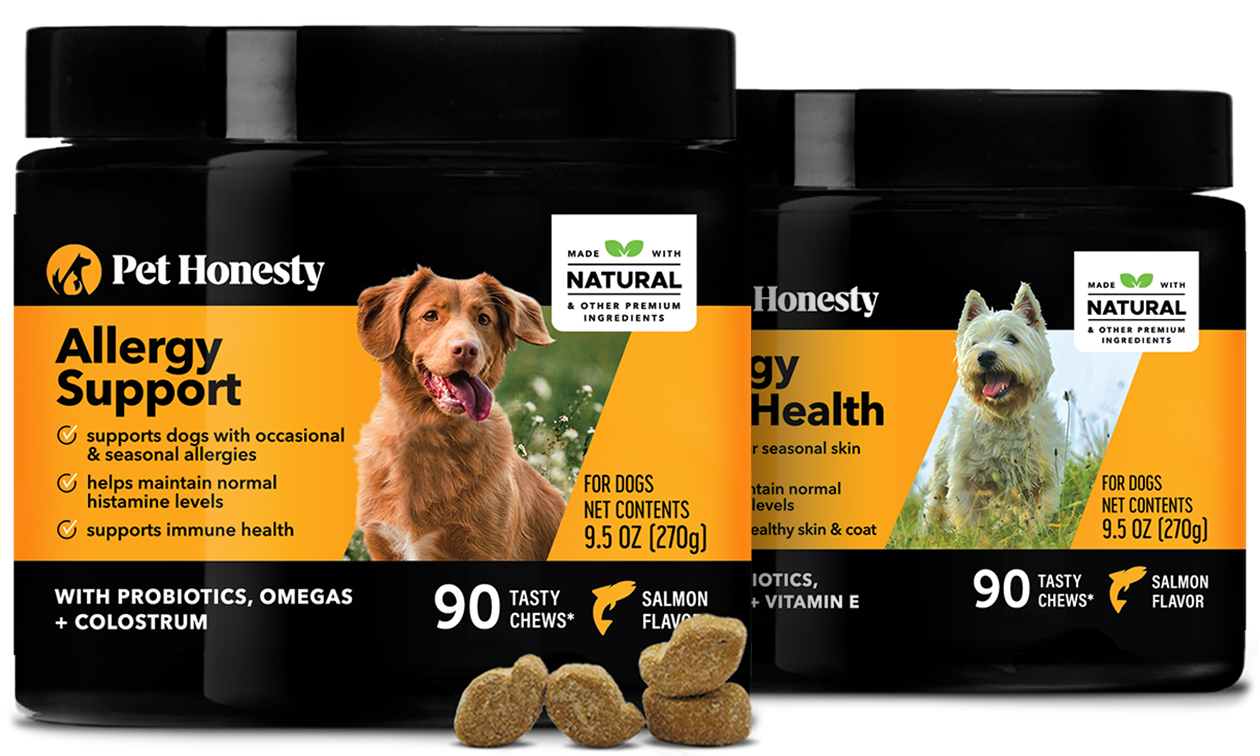 Best itch top medicine for dogs