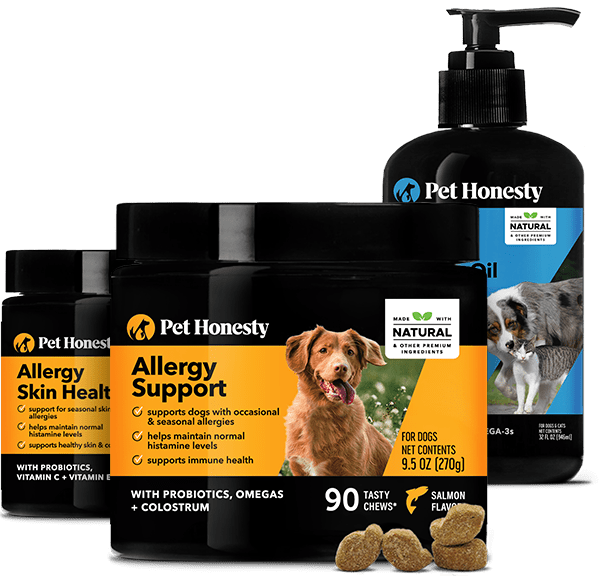Seasonal allergy support for dogs best sale