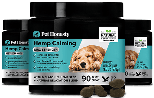 Hemp Calming Max Strength 3-Pack 3-Packs PetHonesty 