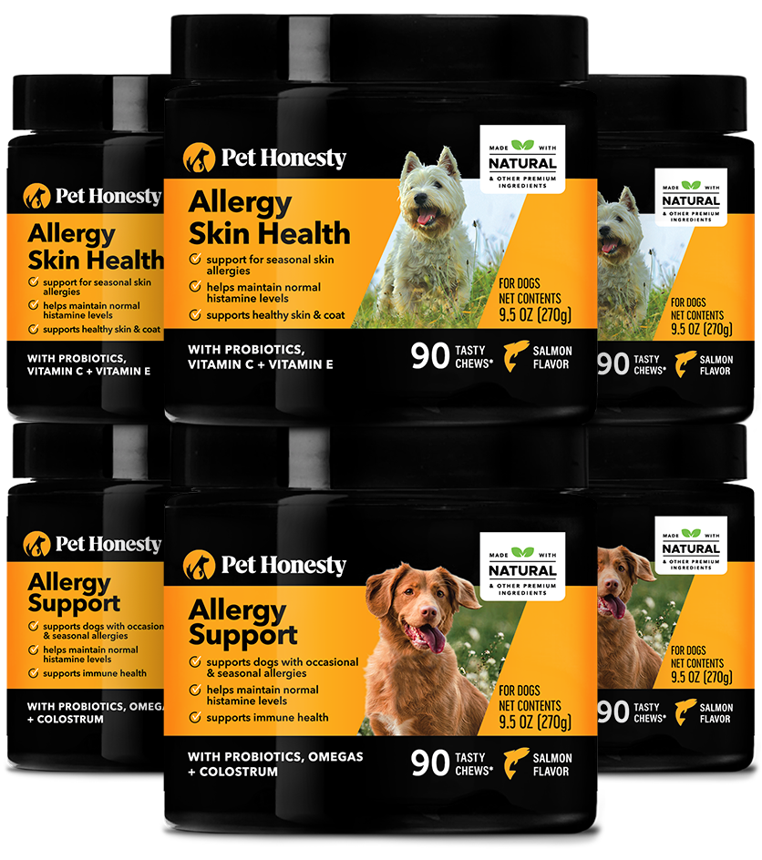 Allergy itch sales relief for dogs