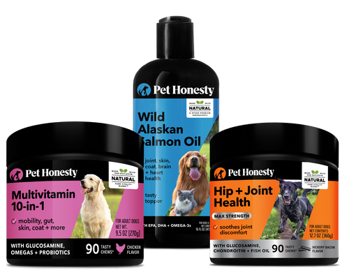 Play All Day Dog Bundle 3-Pack