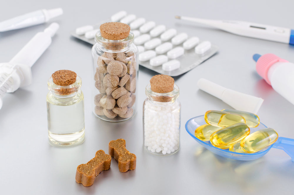 Pet medications, pills, thermometer, syringes, and dog treats illustrating tramadol side effects in dogs