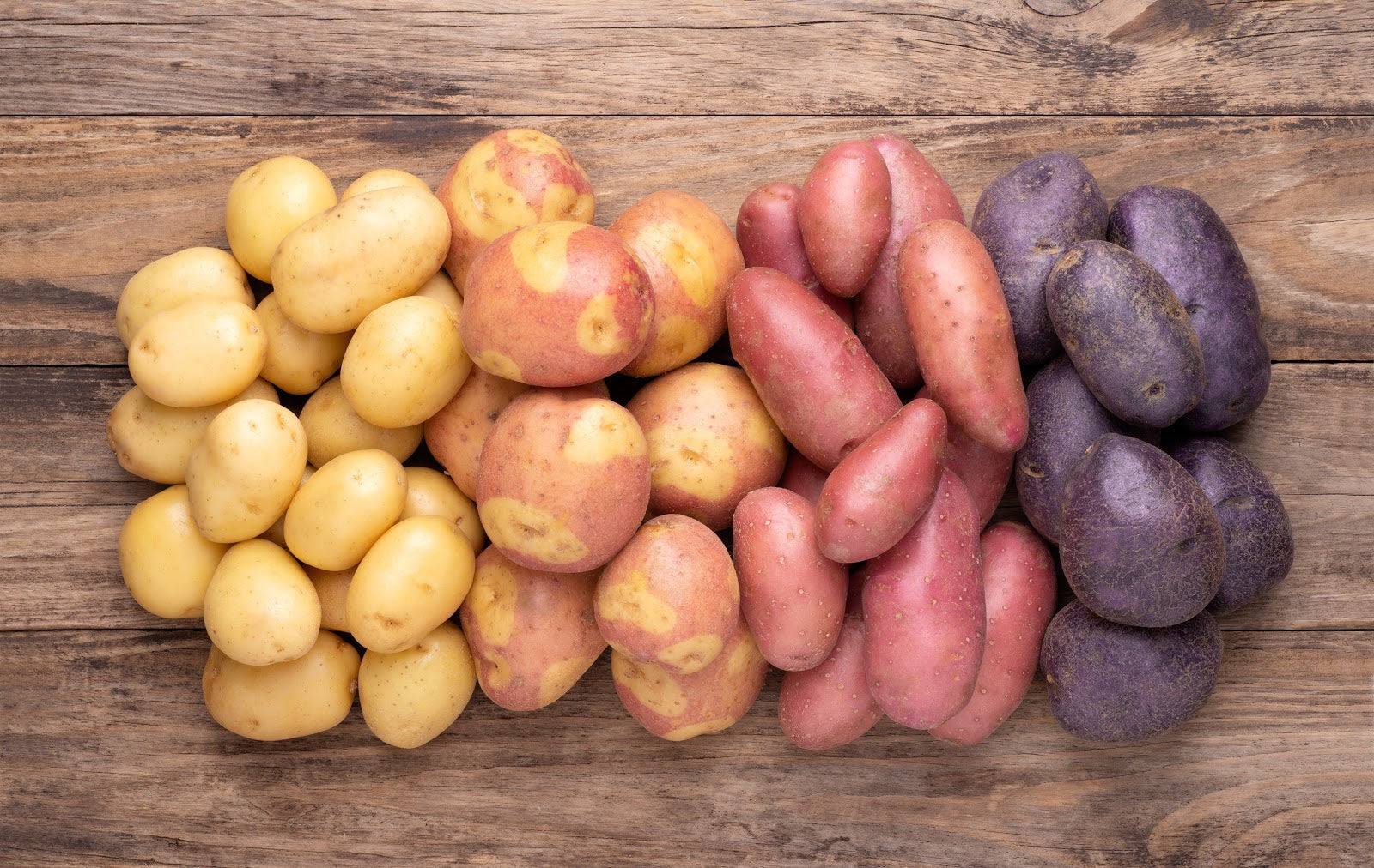 Overhead view of assorted yellow, red, and purple potatoes on a wooden table