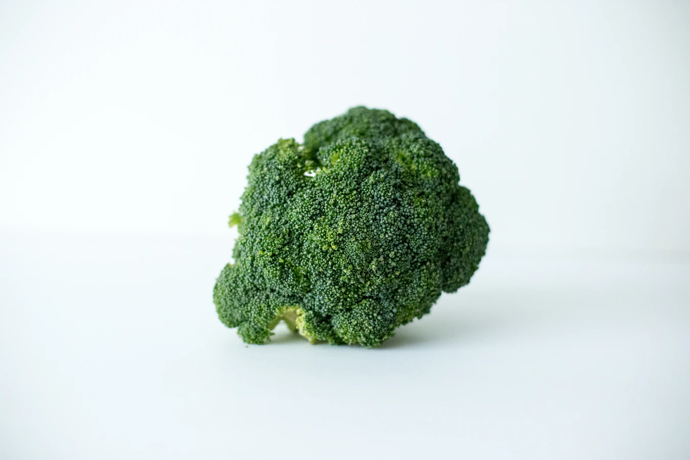 Close-up of a broccoli head showcasing its green florets against a white background