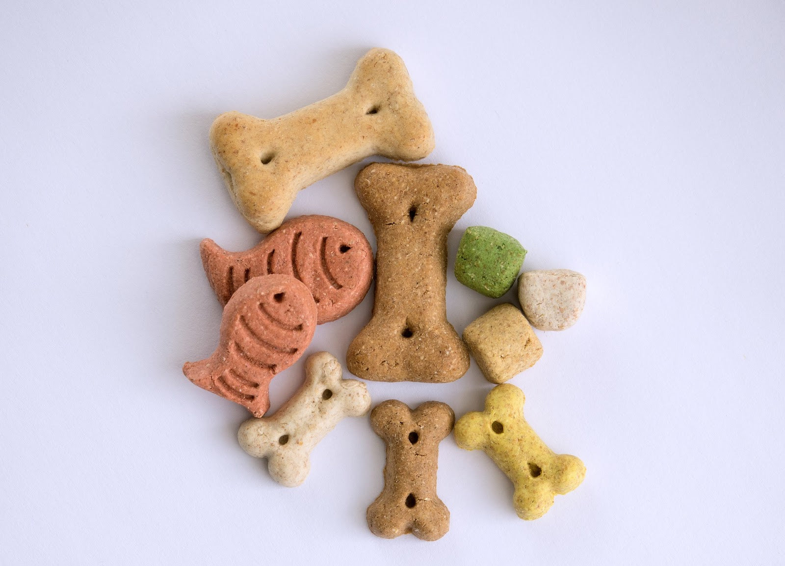 Top view of assorted dog training treats in bone, fish, and cube shapes on a light background
