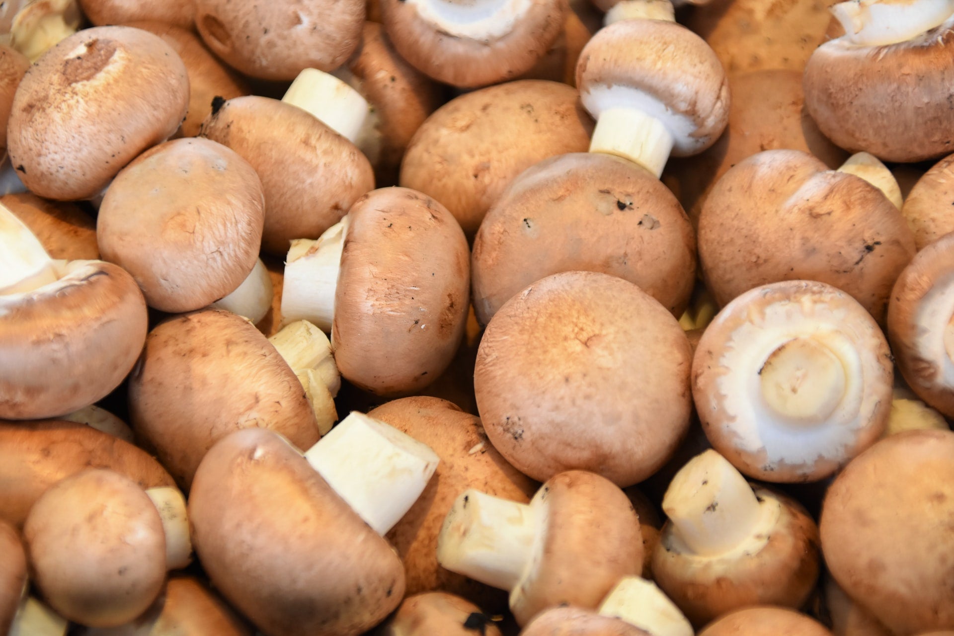 Close-up of brown mushrooms showing whole and sliced caps and stems