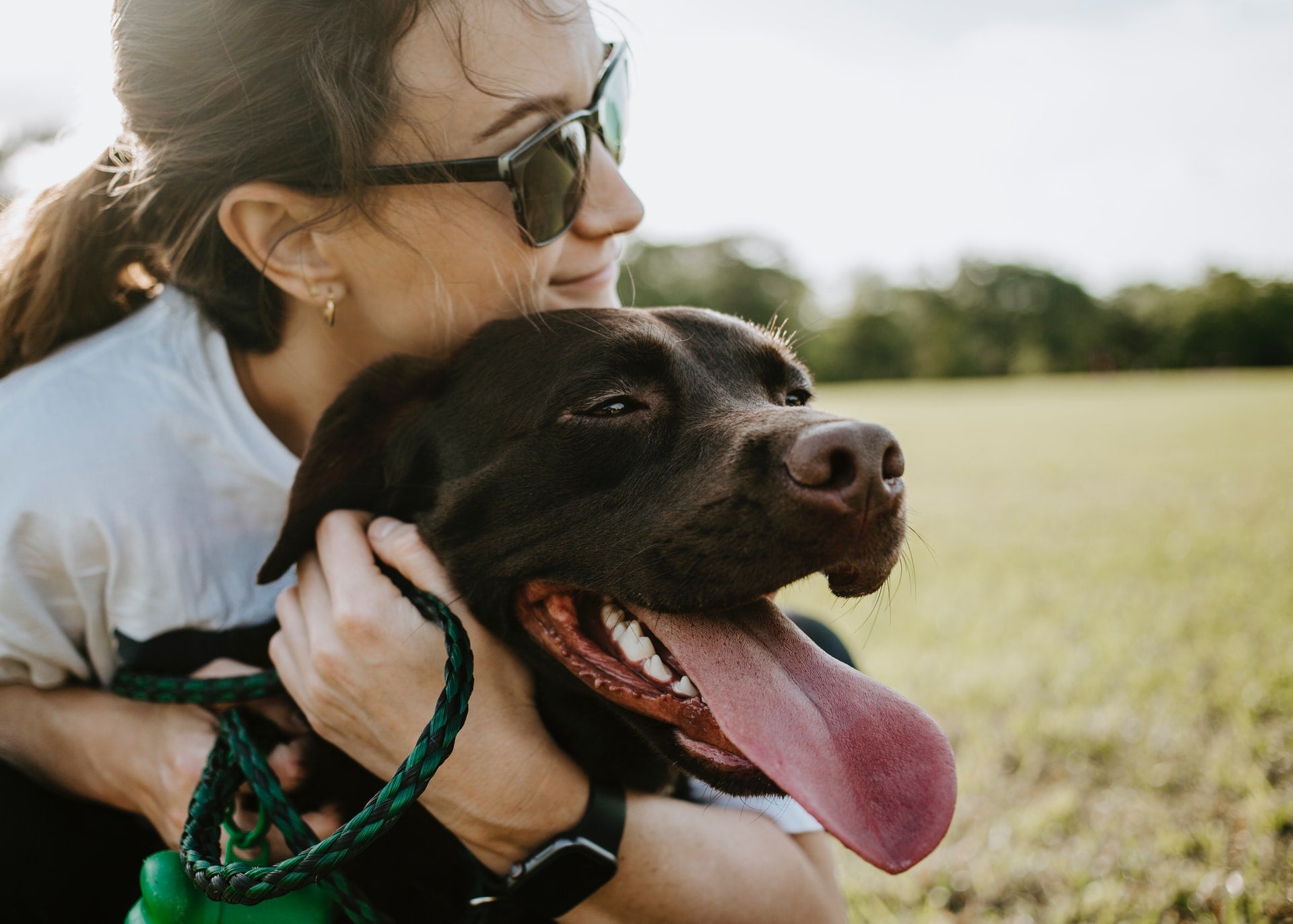 Woman holding a black dog on a leash in a grassy field