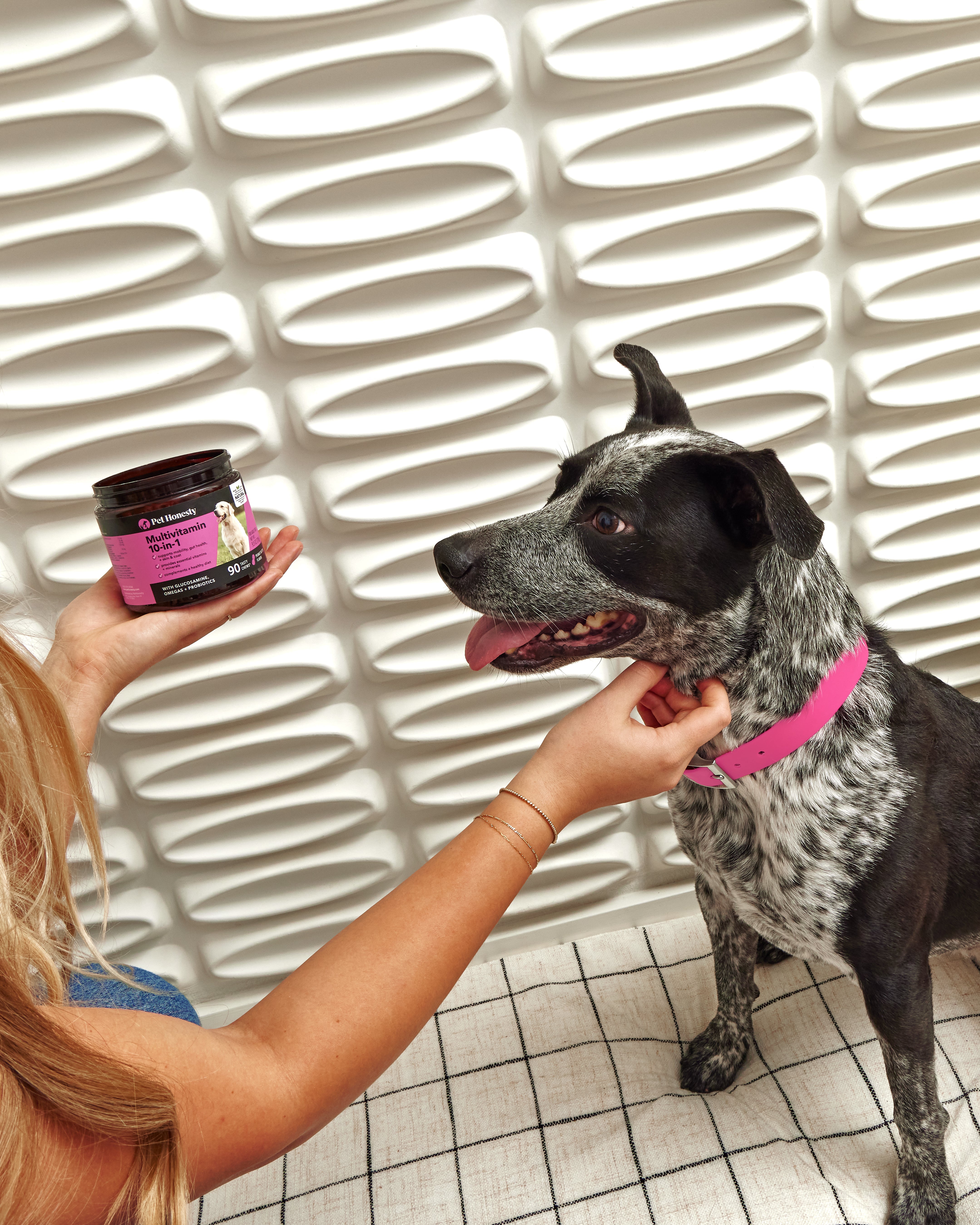 Woman holding Pet Honesty Multivitamin 10-in-1 chews beside a spotted dog on a checkered cushion