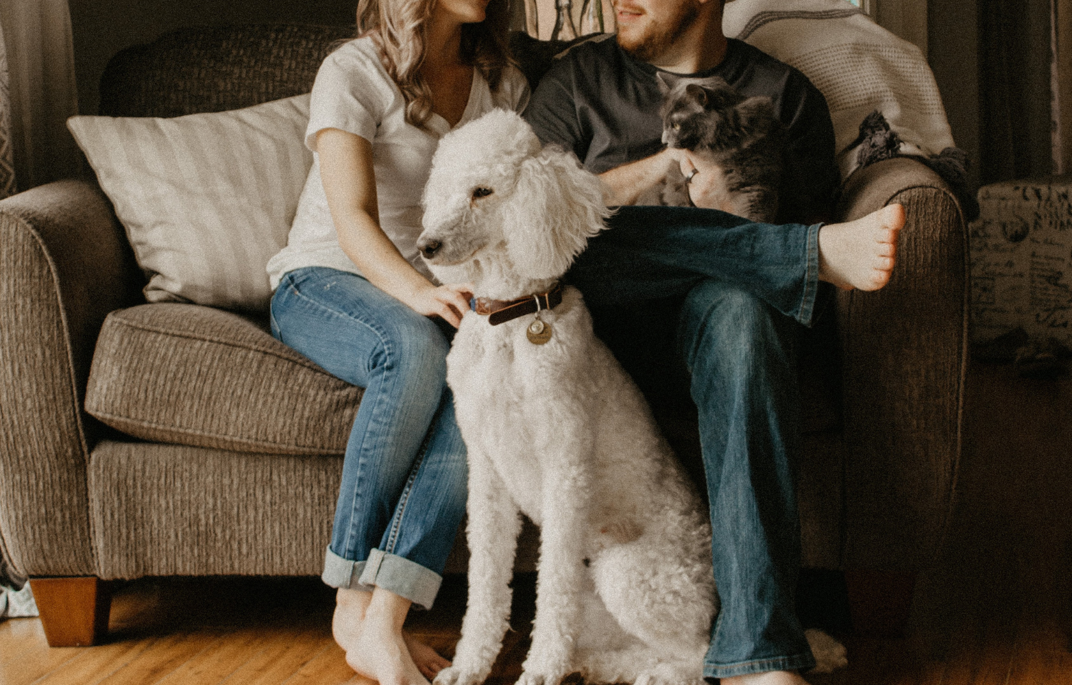 Best time to get a dog.