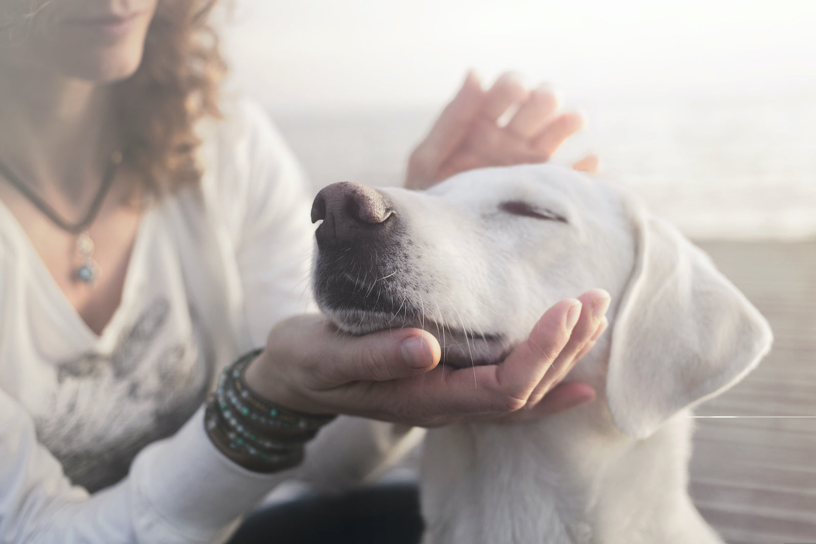 Dog asthma: a woman gently pets her dog's head
