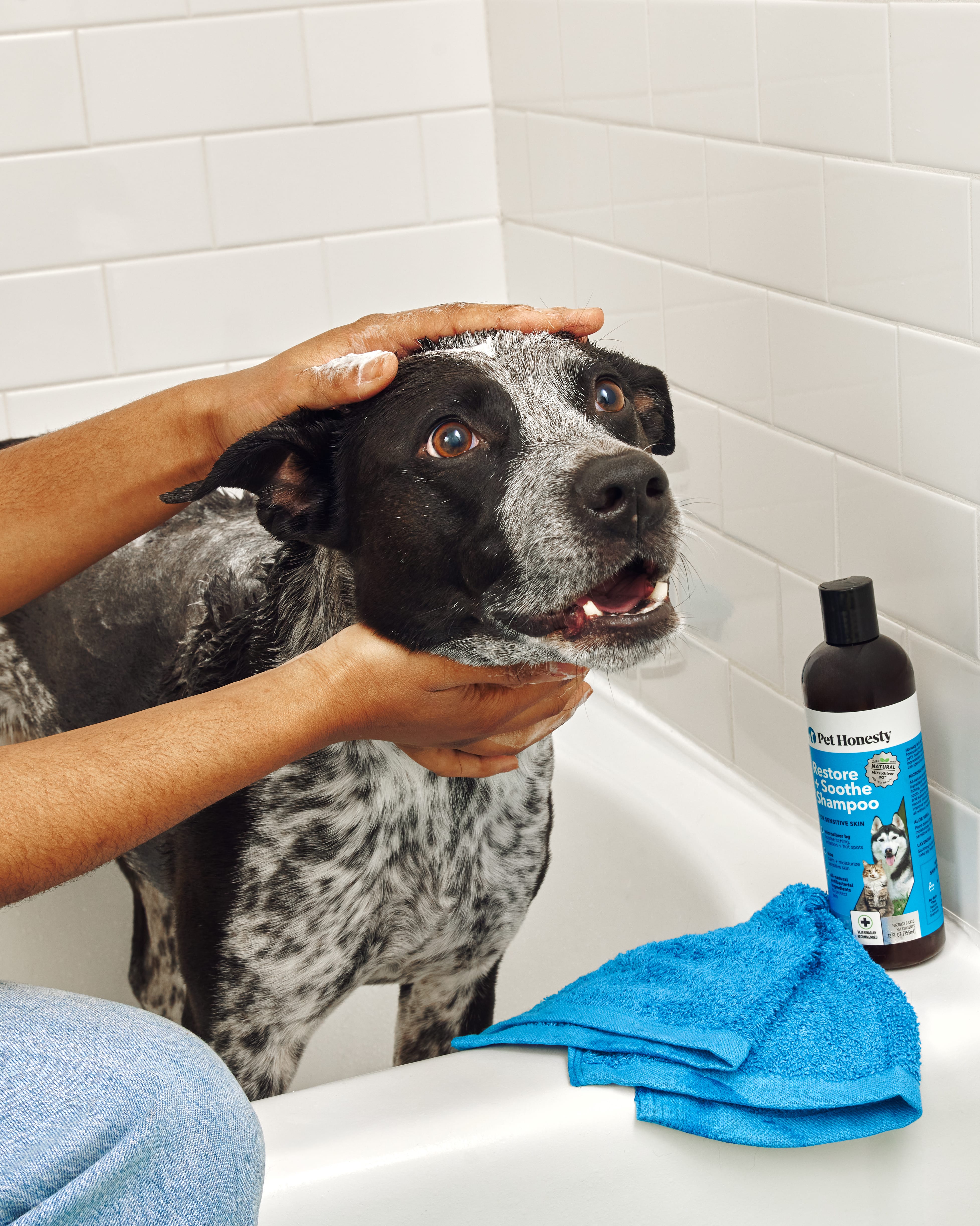 Cats vs. Dogs: Who Sheds More?