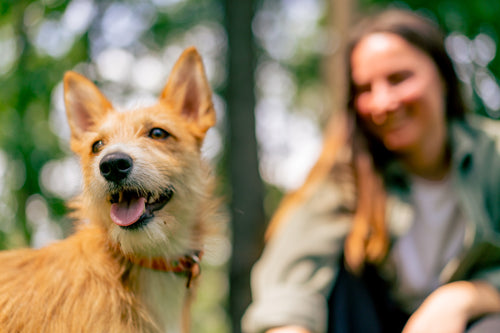 9 Ways Pets Can Improve Your Mental Health + Mood