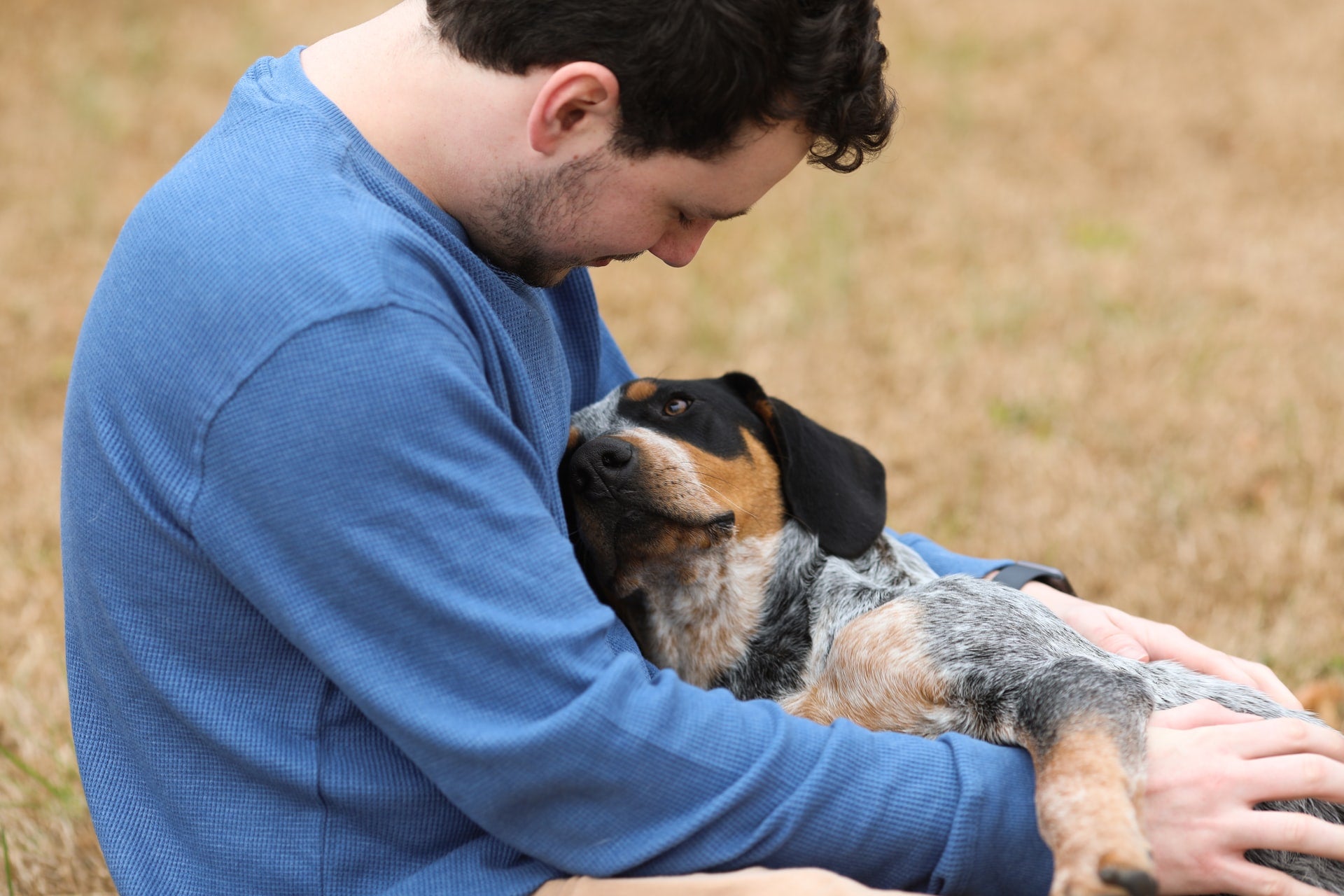 8  Common Reasons for Clingy Dog Behavior