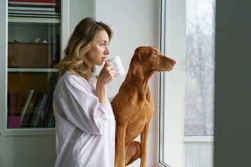 The Ultimate Morning Routine for Dogs: Probiotics + Multivitamins