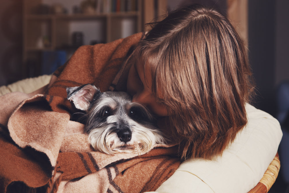 Hip Pain Relief for Dogs: What to Give a Dog for Hip Pain