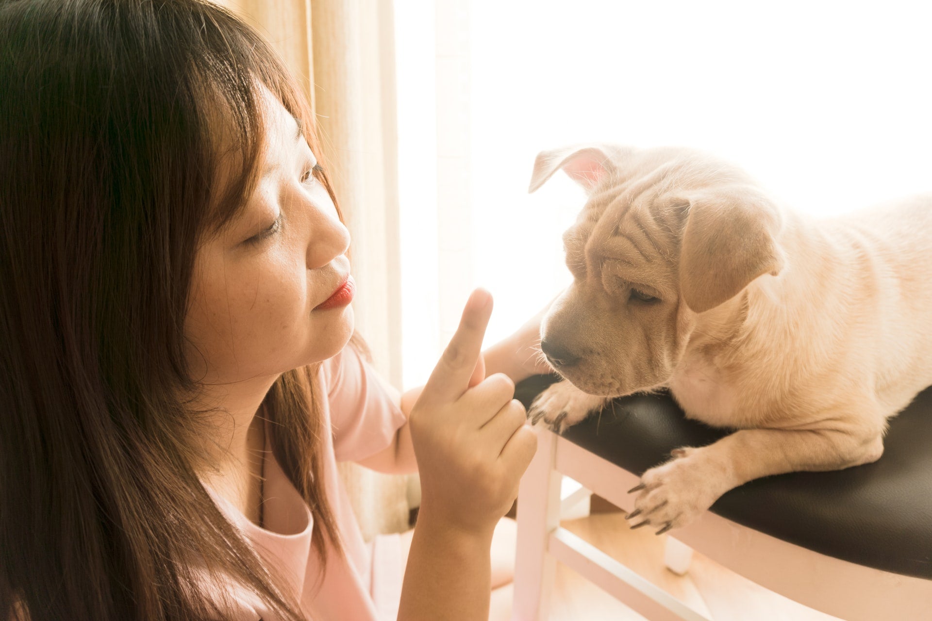Changing Your Dog’s Bad Habits