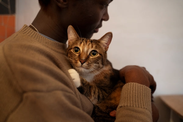 man-with-his-adorable-pet-cat