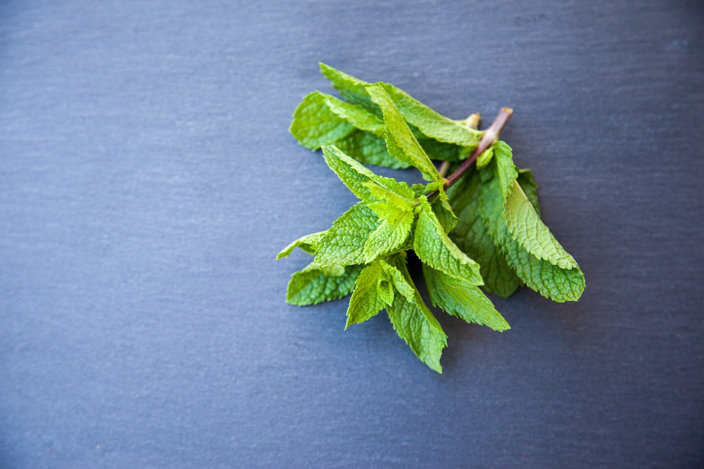 Peppermint And Your Pet: Can Dogs Enjoy This Minty Ingredient?