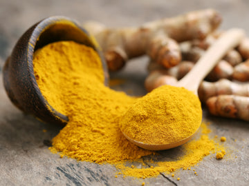 Turmeric for Dogs With Joint Problems: Everything You Need to Know