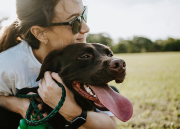 5 Summer Activities to Enjoy With Your Dog