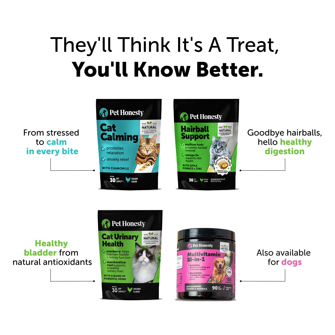 Dual Texture Multivitamin for Cats 2-Pack (Chicken Flavor)
