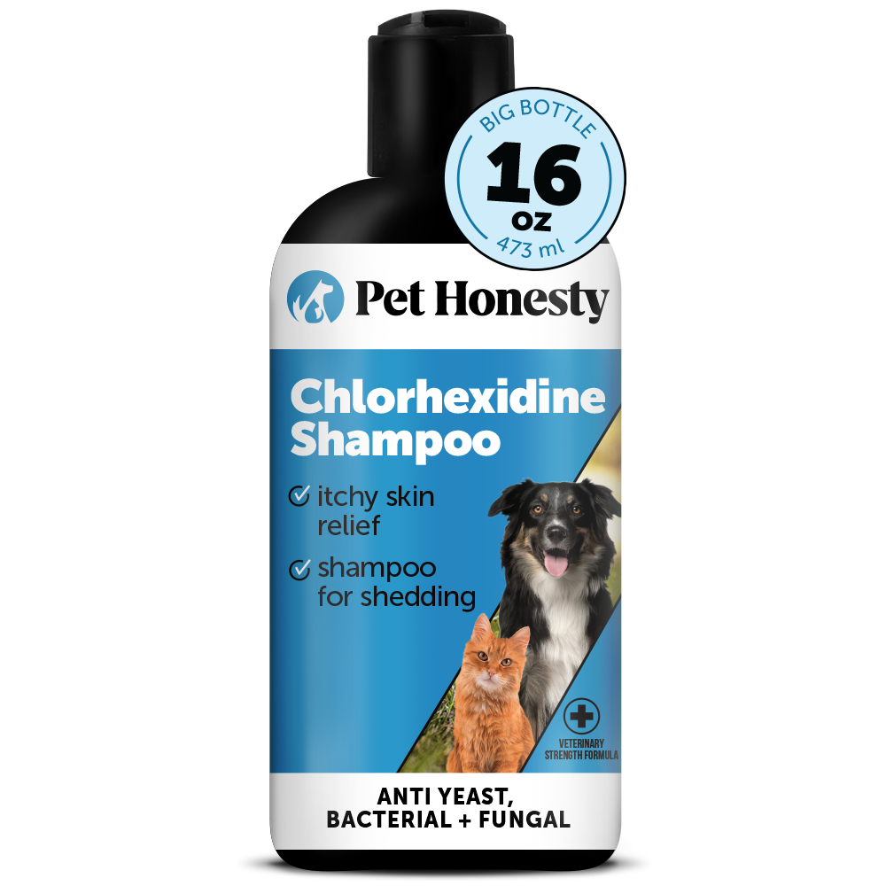 Chlorhexidine Shampoo for Dogs (16 Ounce)