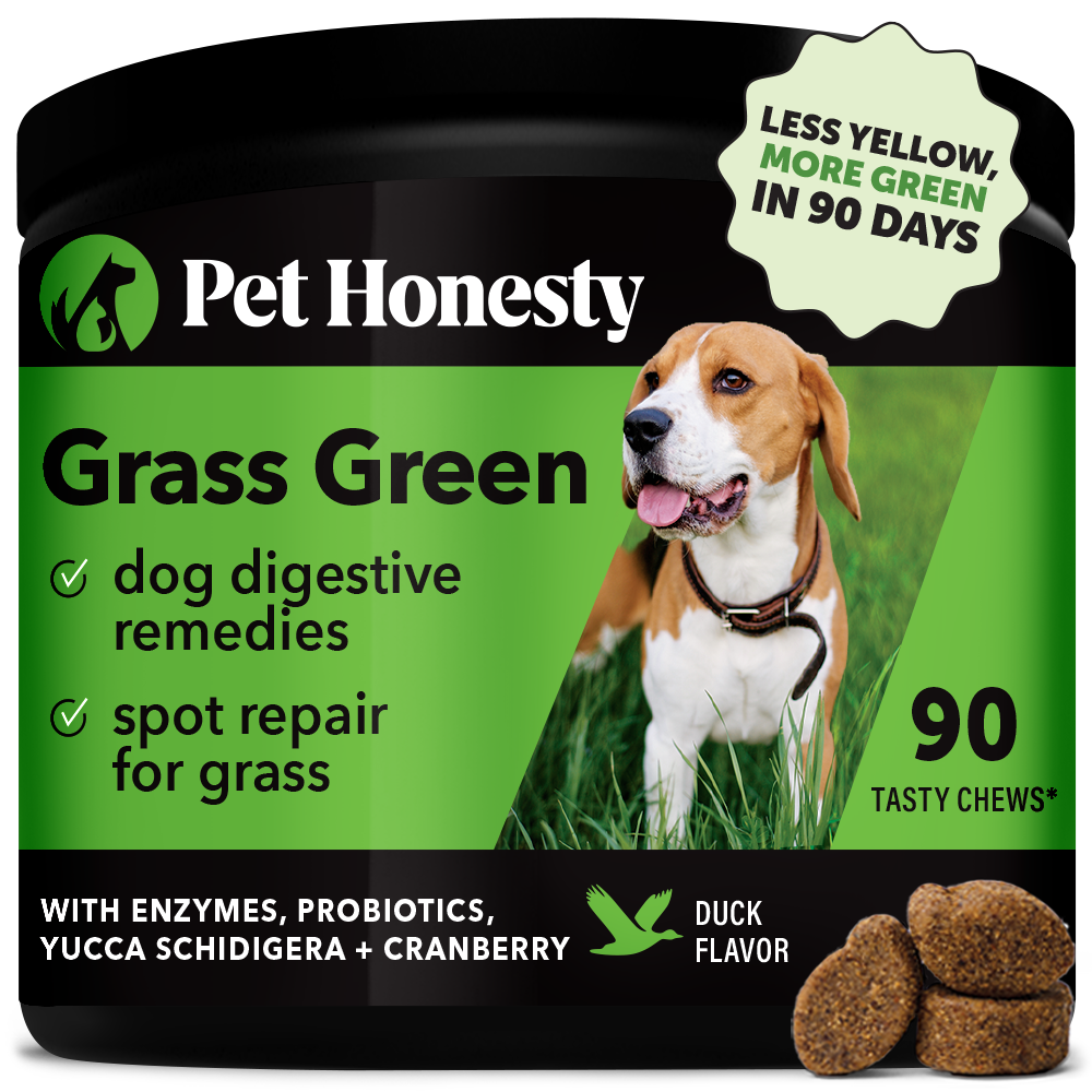 Grass Green (Duck Flavor)